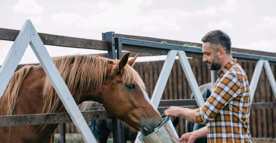 Horse Riding Through the Valleys + Lunch - Activity Details