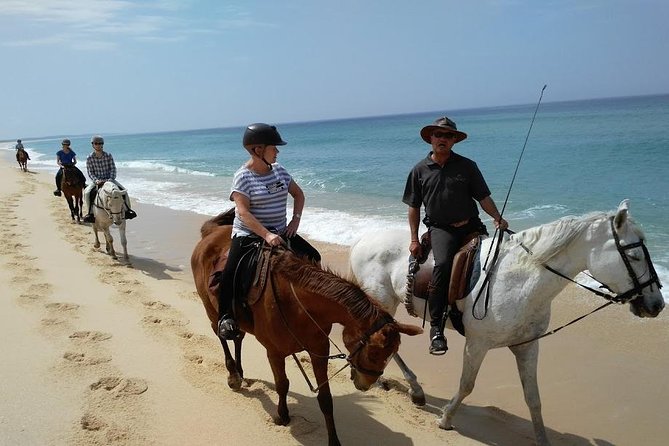 Horse Riding Tour on the Beach Lisbon Region - Good To Know