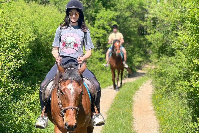 Horseback Riding Experience With Transport From Dubrovnik - Pickup Information