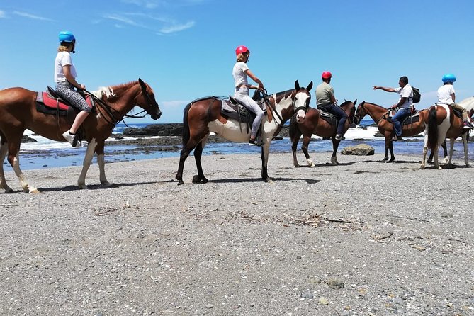 Horseback Riding in Playa Carrillo - Good To Know