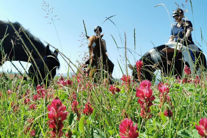 Horsebackriding – Explore Tuscan Nature