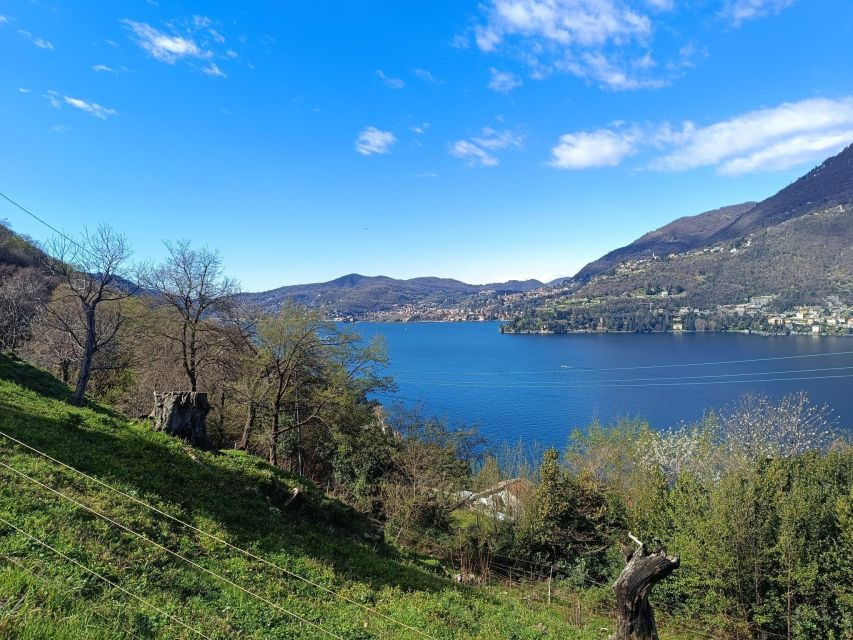 How, Lathe: Panoramic Tour With Boat Ticket Included - Good To Know