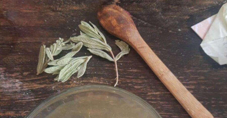 IBIZA : DIY Regenerating & Anti-Red Cream From IBIZA Plants