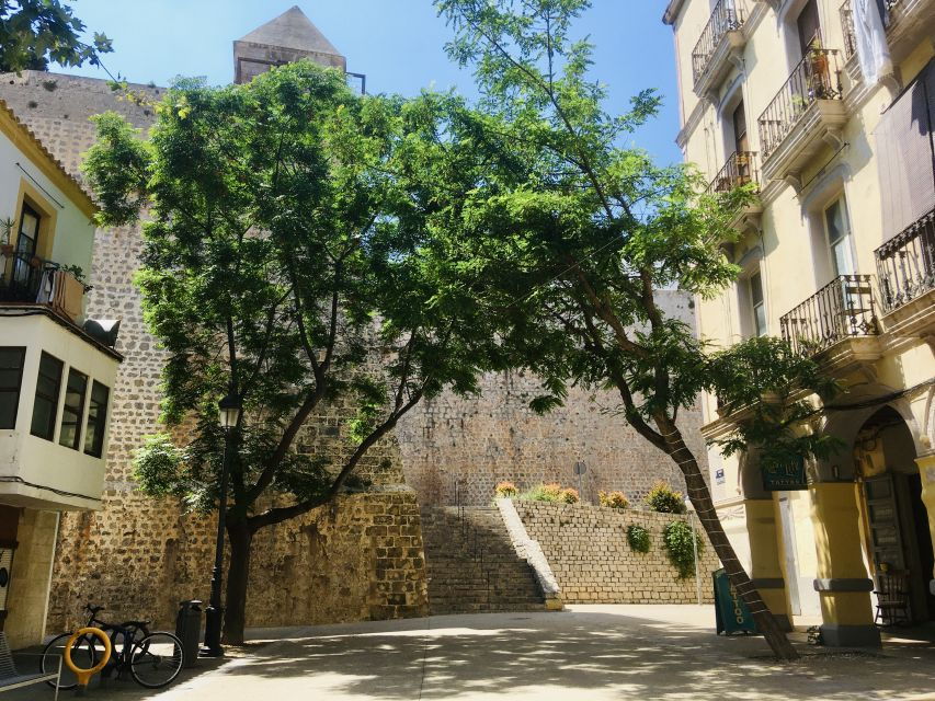 Ibiza: Old Town Guided Walking Tour - Tour Description