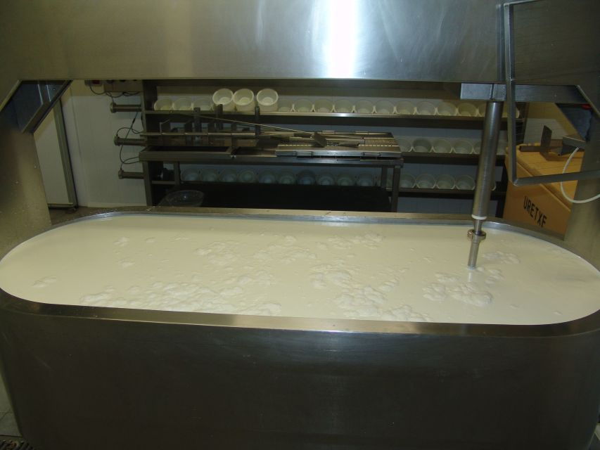 Idiazabal Cheese Tour From San Sebastian - Inclusions