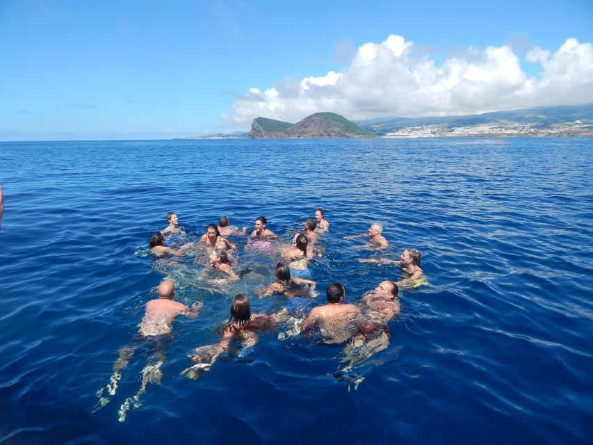 Ilhéus Das Cabras on Terceira Island