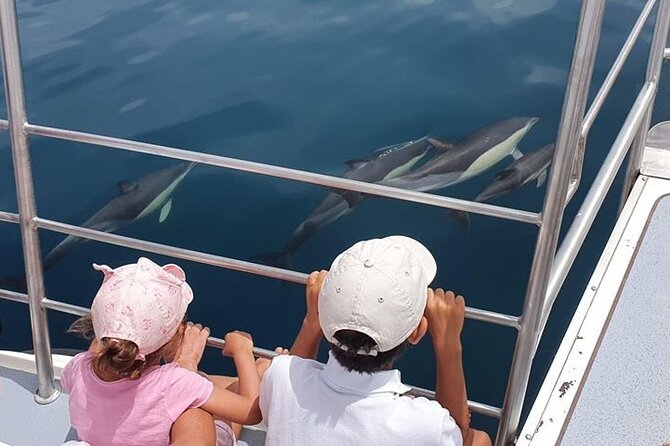 Incredible Dolphin Watching Experience on Our Family Friendly Catamaran - Lagos - Good To Know