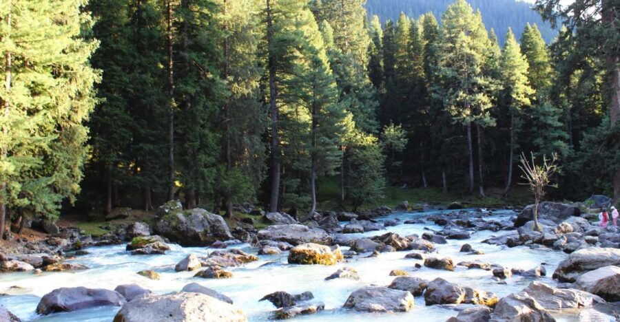 Indias Magic: an Exclusive Journey.