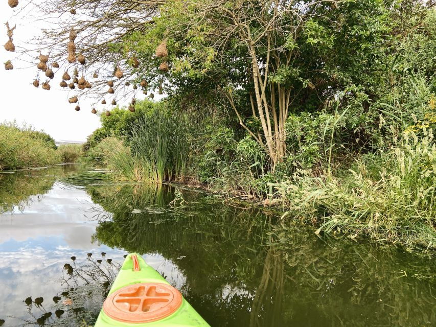 Intaka Island Kayak Tour