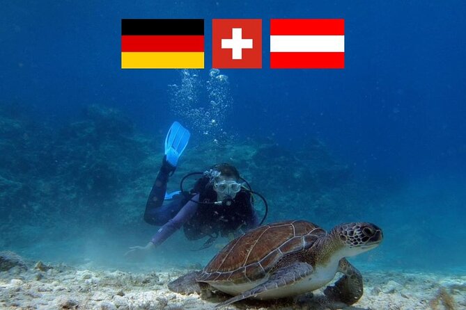 Introductory Diving in Small Groups - Good To Know