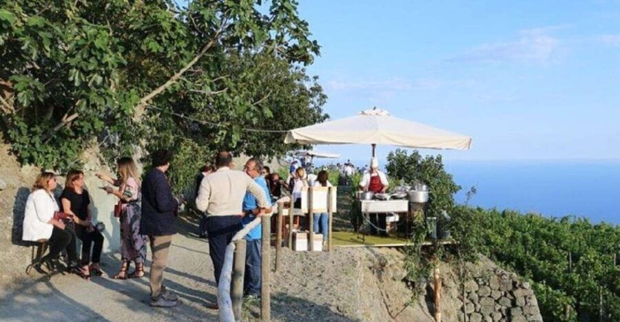 Ischia: Vineyard Tour & Wine Tasting Experience W/ Transfers