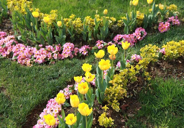 Istanbul Segway Mini Tour - Afternoon - Good To Know