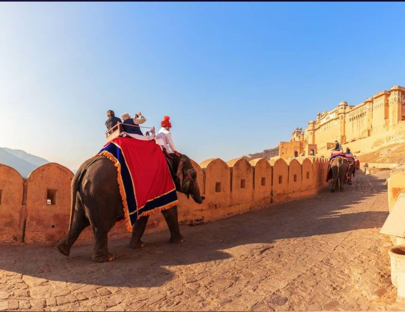 Jaipur: Full Day Sightseeing Tour With Car and Tour Guide - Highlights