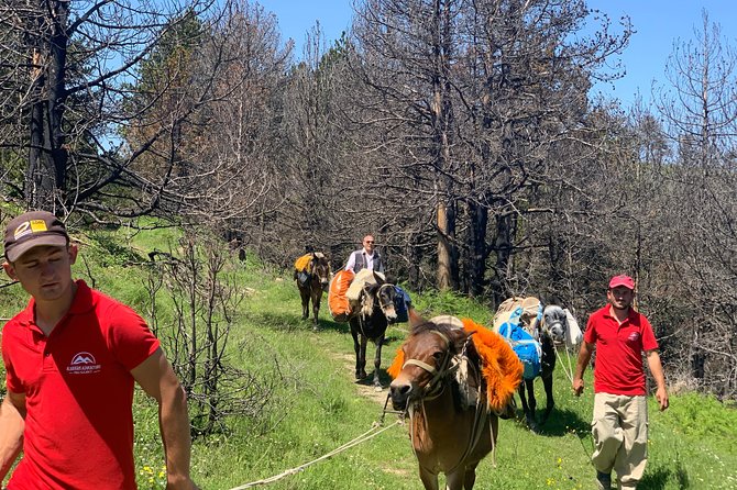 Jeep Safari Berat Hiking Caravan Mule in Tomori Holy Mount - Logistics
