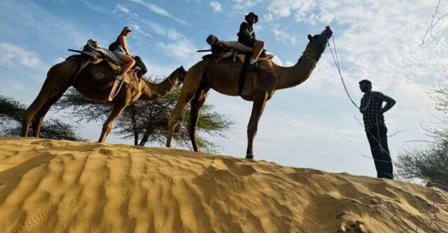 Jodhpur Camel Safari With Traditional Food With Sumer - Good To Know