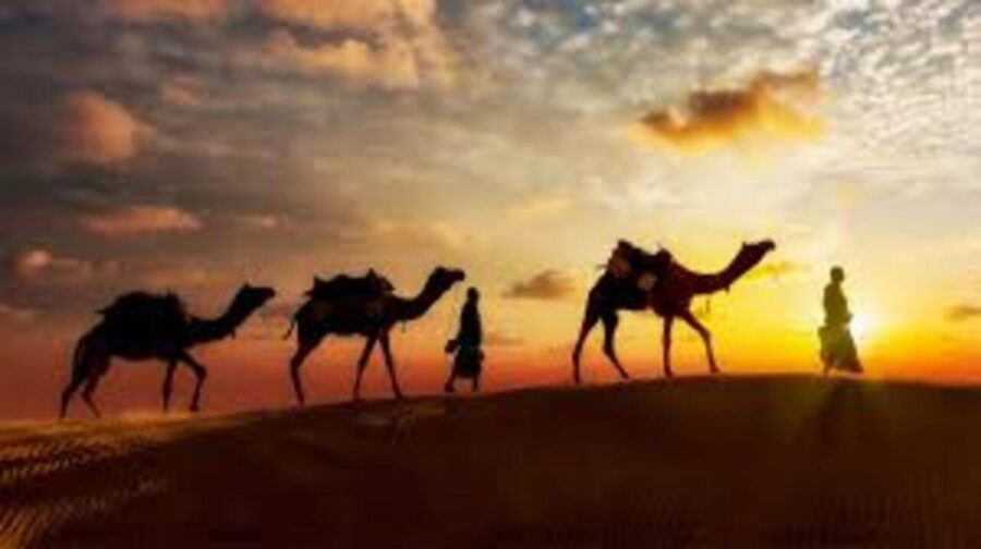 Jodhpur to Osian Camel Safari / Dinner at Dhani - Booking and Payment Information