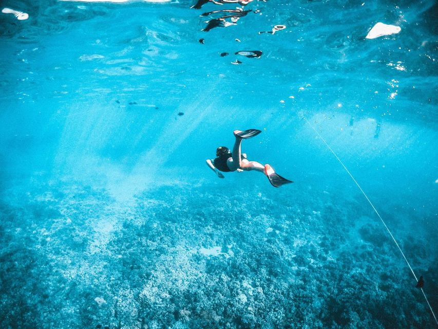 Join Us on a Snorkel Boat Tour of Los Cristianos