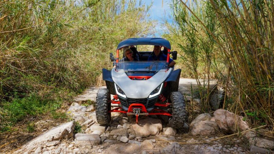 Jungle: Buggy Adventure - Group Size and Languages