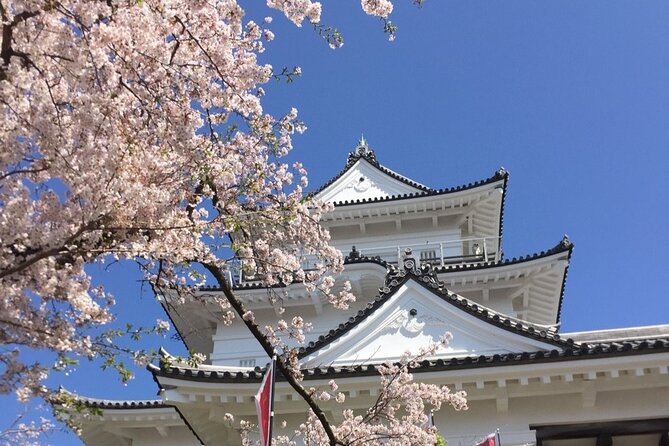 Kaiseki Cuisine and Geisha Entertainment