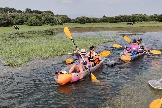 2 Best Canoe And Kayak Experiences In Shkoder