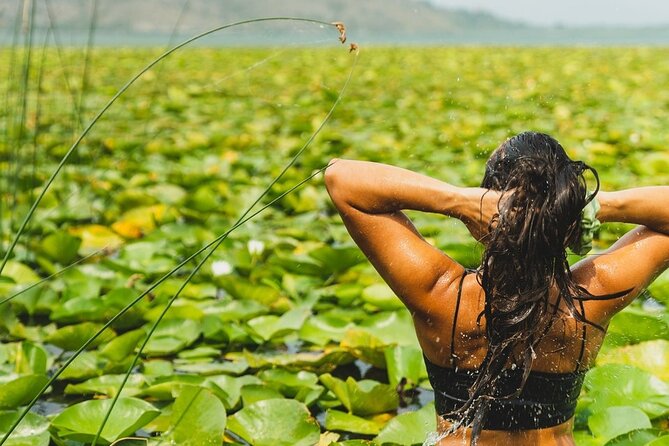 Kayak Rental Adventure Through Lake Skadar From Virpazar - Good To Know