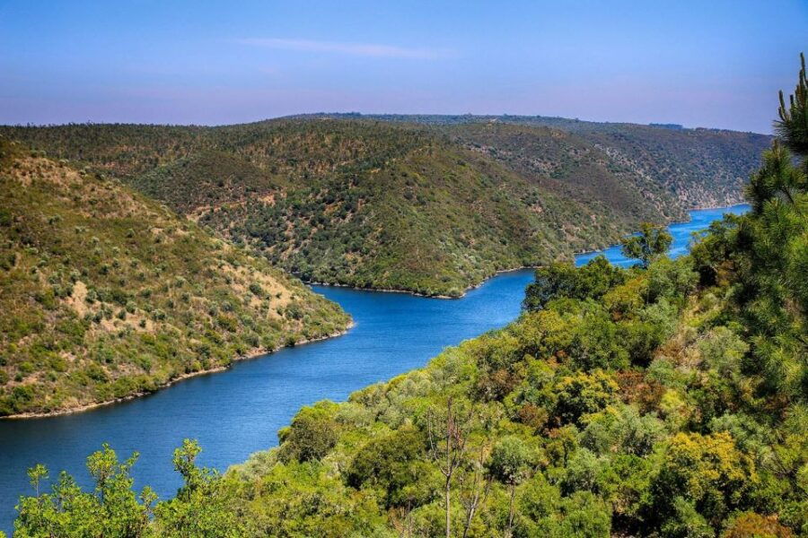 Kayak Review: Tagus River Nature Experience
