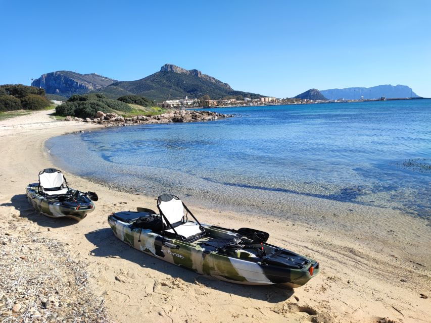 Kayak Tour in Cala Moresca – Aperitif and Dolphin Watching