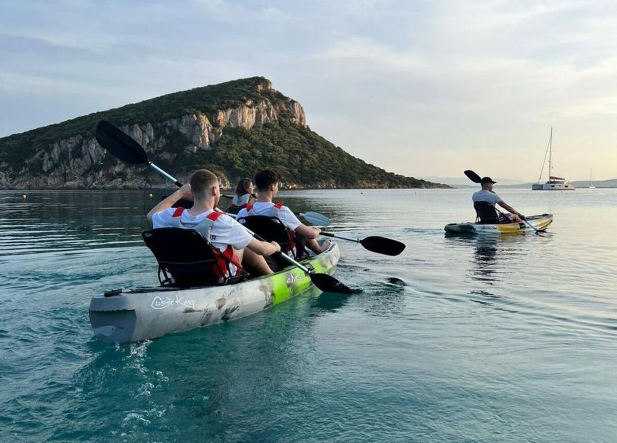 Kayak Tour With Dolphins - Aperitif - Transfer Included - Good To Know