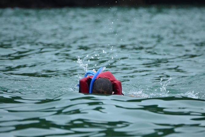 Kayaking & Snorkeling Tour From Manuel Antonio