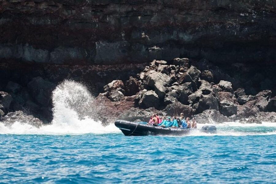Kealakekua Bay: Snorkel and Coastal Adventure With Lunch - Good To Know