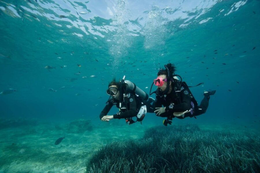 Kefalonia: Beginner Scuba Diving at Agia Efimia Village