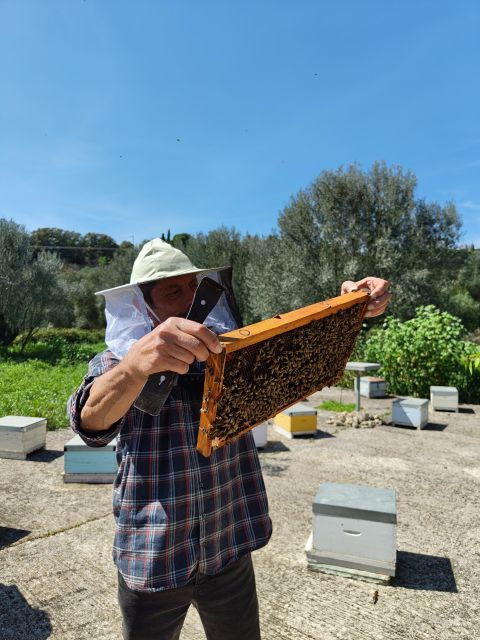 Kefalonia Honey Tour on E-Bikes - Tour Overview