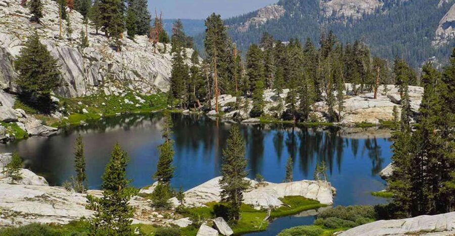Kings Canyon National Park: Private Tour & Hike - Full Description of Experience