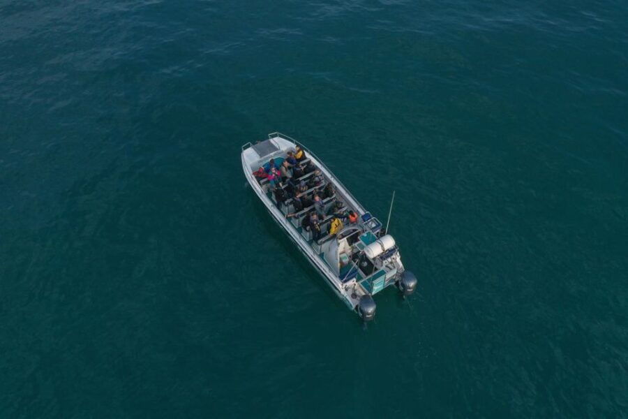 Knysna: Marine Life & Garden Route Coastline Tour - Good To Know