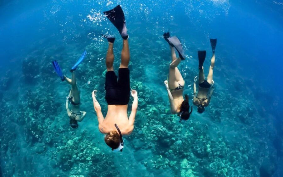 Koa Kai Molokini Snorkel & Whale Watch in Maui - Good To Know
