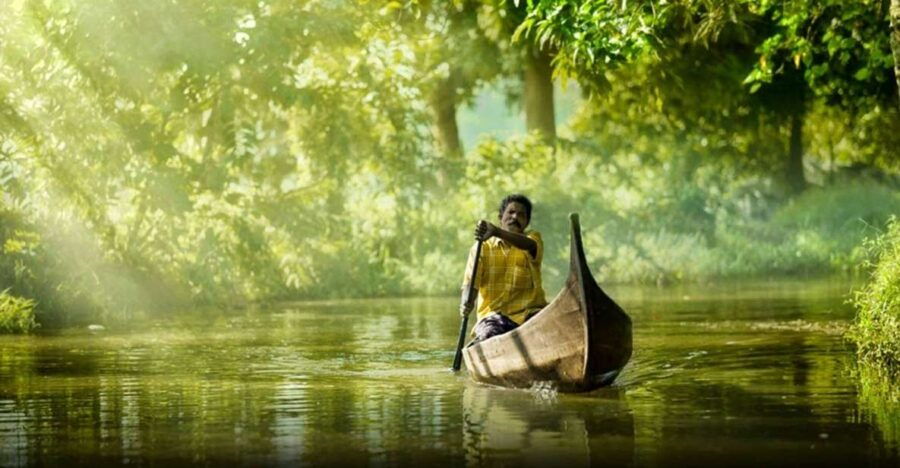 Kochi: Highlights of South India 7-Day Trip - Scenic Munnar
