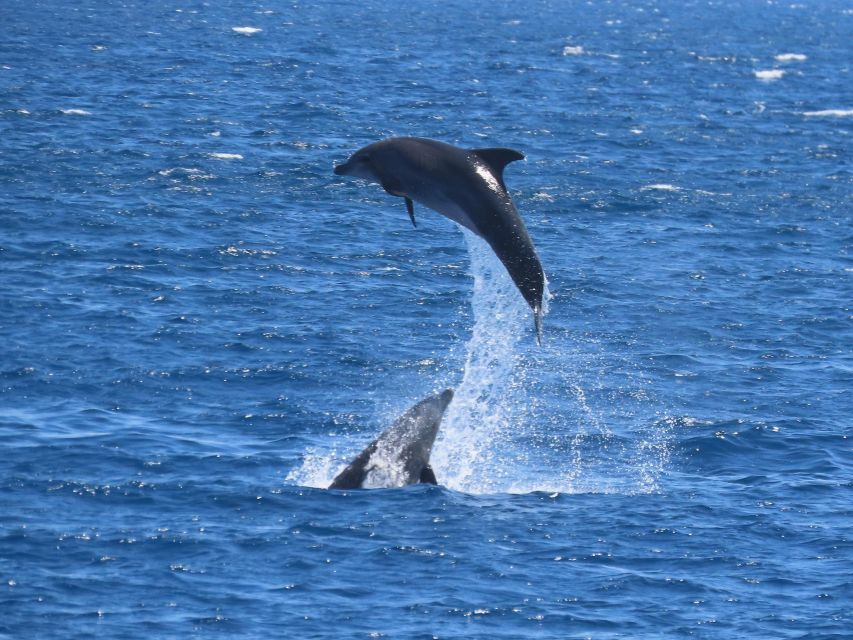 Kos: 3-Island Cruise With Lunch and Hotel Transfer - Activities and Highlights