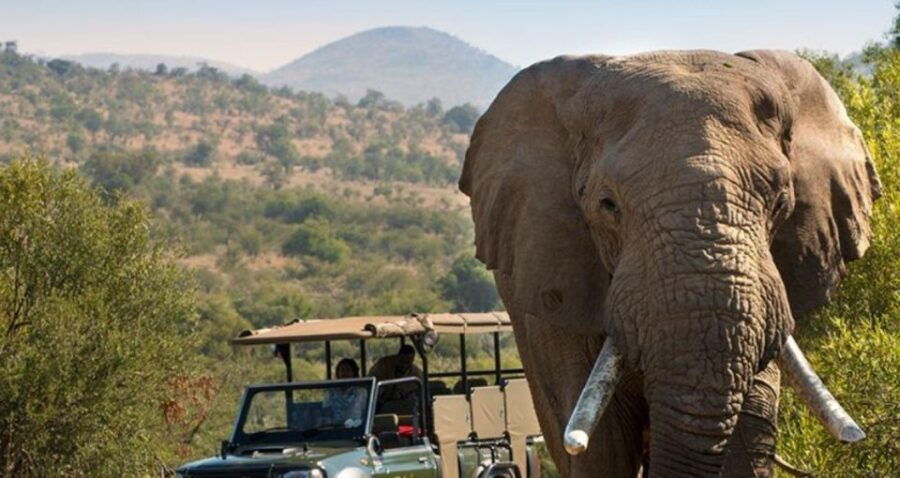 Kruger National Park 3 Day Tour From Johannesburg - Itinerary