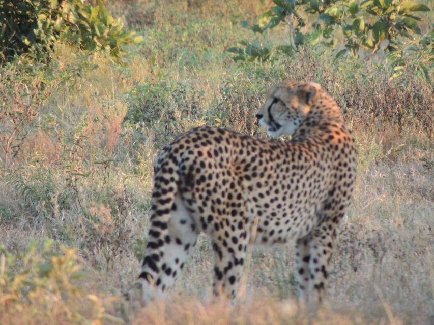 Kruger National Park Safari - 3 Day - Inclusions and Booking Information