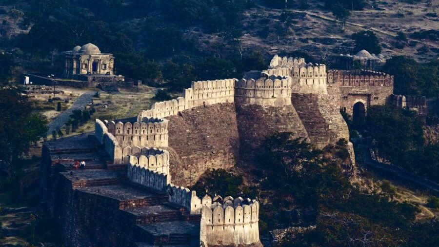 Kumbhalgarh & Ranakpur Day Tour From Udaipur - Pricing Information