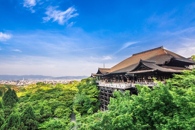 Kyoto 8 Hr Tour From Osaka: English Speaking Driver, No Guide