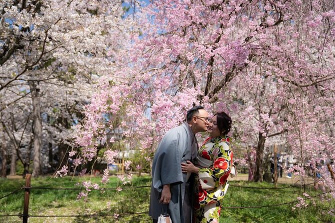 Kyoto Full Day Private Tour With Local Guide