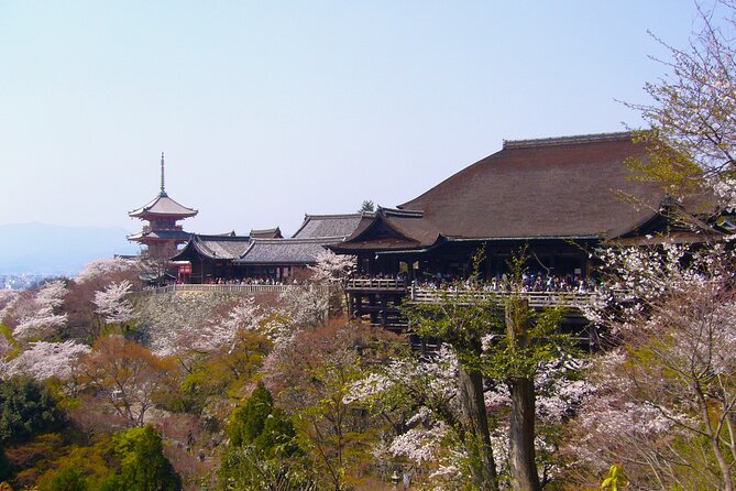 Kyoto Millennium Shogun E-Bike Cycling Tour (East Course) - Good To Know