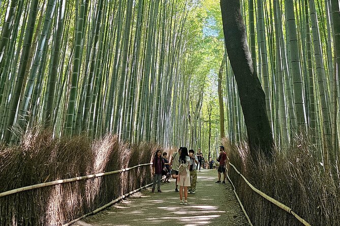 Kyotos Arashiyama Bamboo Grove: 3-Hour Guided Tour