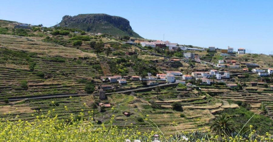 La Gomera: Guided Hiking Tours From Valle Gran Rey - Duration, Languages, and Group Size