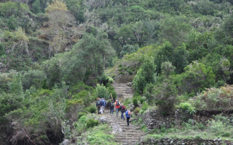 La Gomera: Hamlets of the North Hiking Route Tour - Good To Know