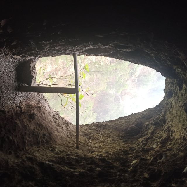 La Palma: Guided Trekking Tour Springs Marcos and Cordero - Pricing and Duration