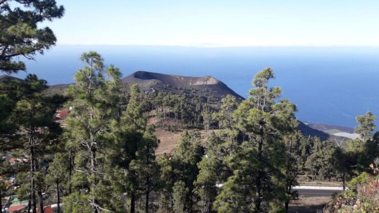 La Palma : South Tour to the Volcanoes by Bus 4x4 - Good To Know