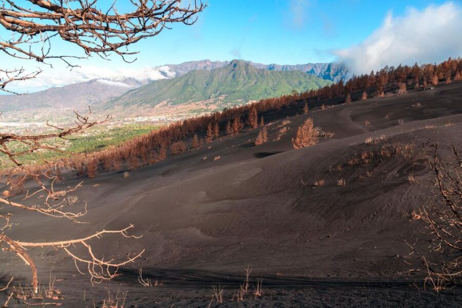 La Palma : Volcanic Experience : New Volcano & Volcanic Tube - Tour Inclusions