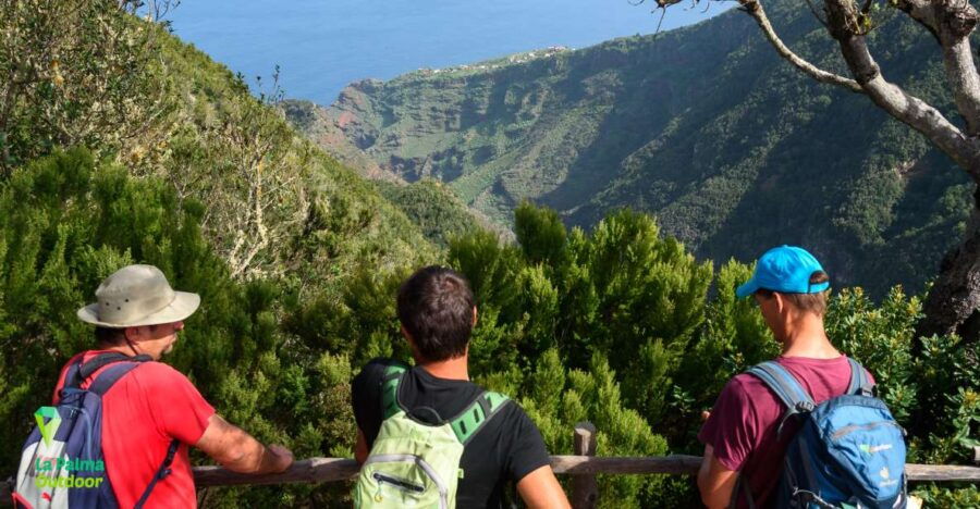 La Palma: Zarza Archaeological Park Guided Trek - Good To Know